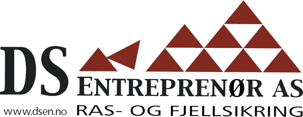 DS Entreprenor